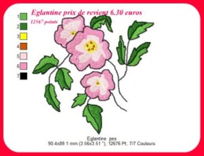 eglantine