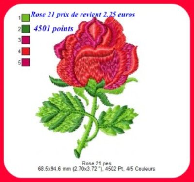 Rose 21